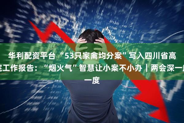 华利配资平台 “53只家禽均分案”写入四川省高院工作报告：“烟火气”智慧让小案不小办｜两会深一度