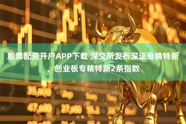 股票配资开户APP下载 深交所发布深证专精特新、创业板专精特新2条指数