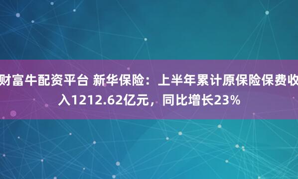 财富牛配资平台 新华保险：上半年累计原保险保费收入1212.62亿元，同比增长23%